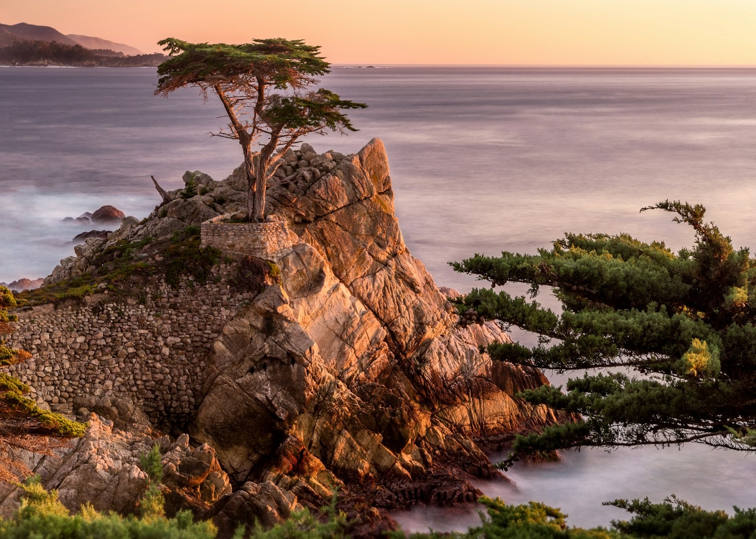 From Sketch to Canvas: Creating Expressive Wilderness Scenes
